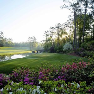 Image post by @themasters on Instagram