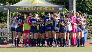 Image post by @mineswsoc on Twitter