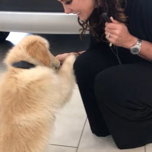 Video post by @infinitiofdenver on Instagram