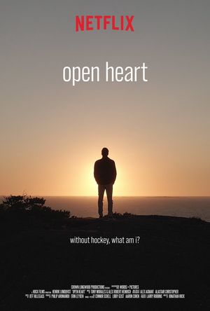 Image post by @HLundqvist on Twitter