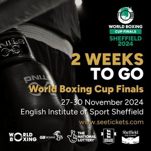 Image post by @officialworldboxing on Instagram