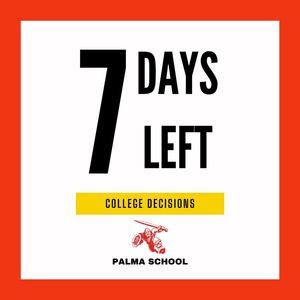Image post by @palma_school on Instagram