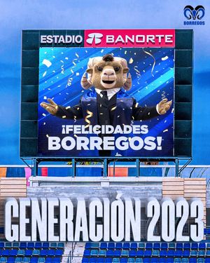 Image post by @borregostec on Instagram