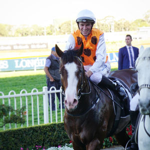 Image post by @australianturfclub on Instagram