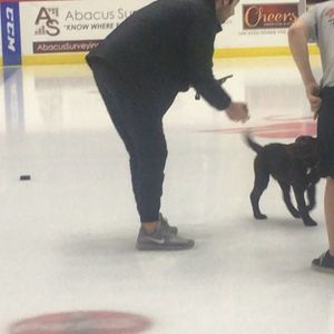 Image post by @readingroyals on Instagram