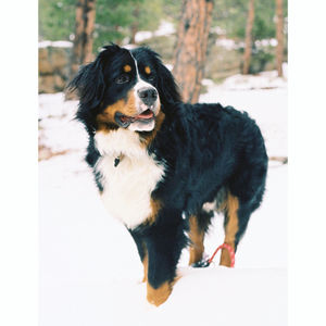 Image post by @neillarson on Instagram