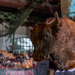 Image post by @bullfightersonly on Instagram