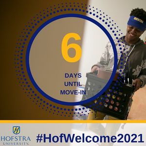 Image post by @hofstrau on Instagram