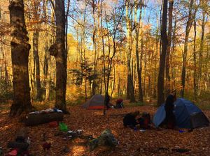 Image post by @outdoorsfsu on Instagram