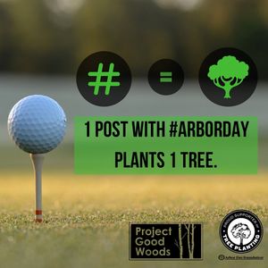 Image post by @evolvegolf on Instagram
