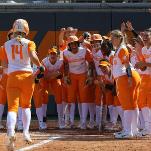 Image post by @vol_photos on Instagram