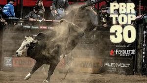 Video post by @pbr on YouTube