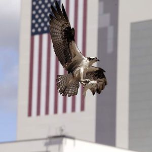 Image post by @nasa on Instagram