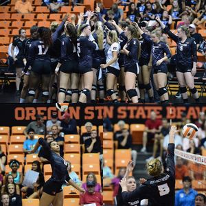 Image post by @beavervball on Instagram