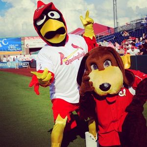 Image post by @springfield_cardinals on Instagram