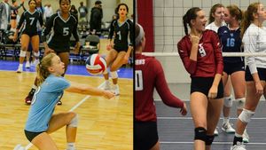 Image post by @elonvb on Instagram