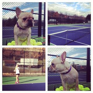 Image post by @jmuwtennis on Instagram
