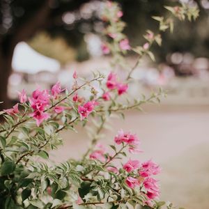 Image post by @acuedu on Instagram