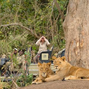 Image post by @chiawasafaris on Instagram
