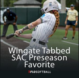 Image post by @flosoftball on Instagram