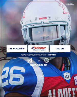 Image post by @mtlalouettes on Instagram