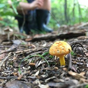 Image post by @kidsgardening on Instagram