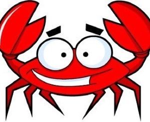 Image post by @thebluedevils on Instagram