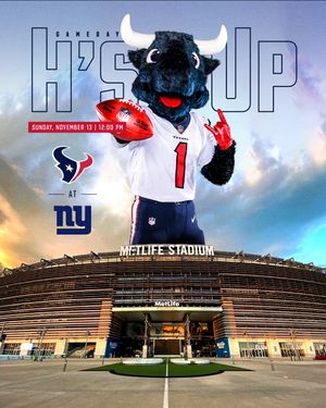 Image post by @texanstoro1 on Instagram