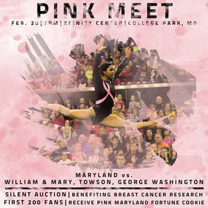 Image post by @terpsgymnastics on Instagram