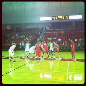 Image post by @isuredbirds on Instagram