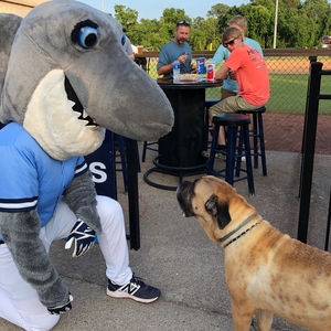 Image post by @ilmsharks on Instagram
