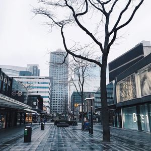 Image post by @tanya_zavadich on Instagram
