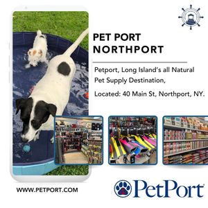 Image post by @northportchamberofcommerce on Instagram