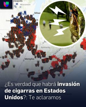 Image post by @univision23 on Instagram