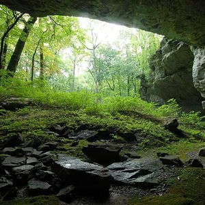 Image post by @nationalparktrust on Instagram
