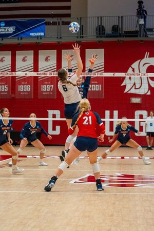 Image post by @DaytonVB on Twitter