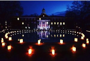 Image post by @elonvb on Instagram