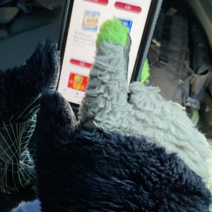 Image post by @blitztheseahawk on Instagram