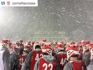Image post by @stxmlax on Instagram