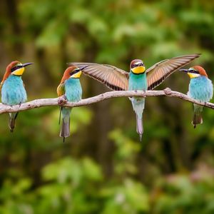 Image post by @discovery on Instagram