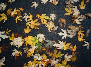 Image post by @benworldly on Instagram