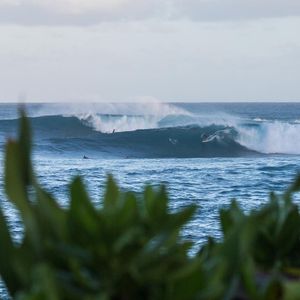 Image post by @wsl.qs on Instagram