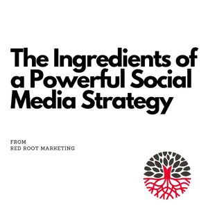 Image post by @redrootmarketing on Instagram