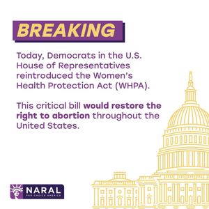 Image post by @reprofreedomforall on Instagram