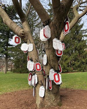 Image post by @studentlifeosu on Instagram