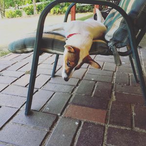 Image post by @snaffle_it on Instagram