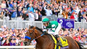 Image post by @thebloodhorse on Instagram