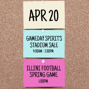 Image post by @gamedayspirit on Instagram