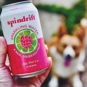 Image post by @drinkspindrift on Instagram