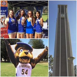Image post by @bigwestsports on Instagram